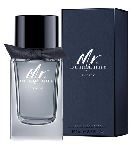 mr burberry indigo review|mr burberry perfume review.